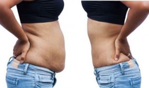 다이어트 보조제의 종류와 효능