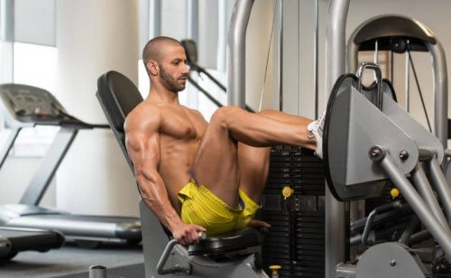 다리 운동 루틴