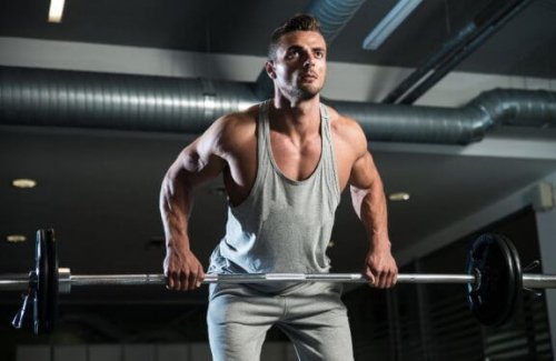 바벨 로우를 하는 방법