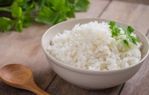 대체 식단의 '대체'란 무슨 뜻일까?