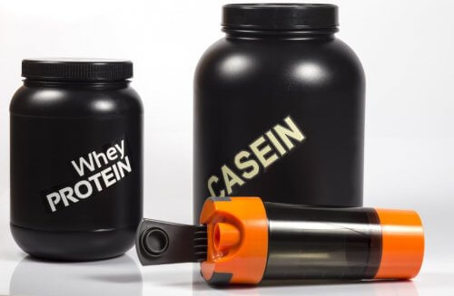 어떤 종류의 단백질 셰이크를 선택해야 할까?