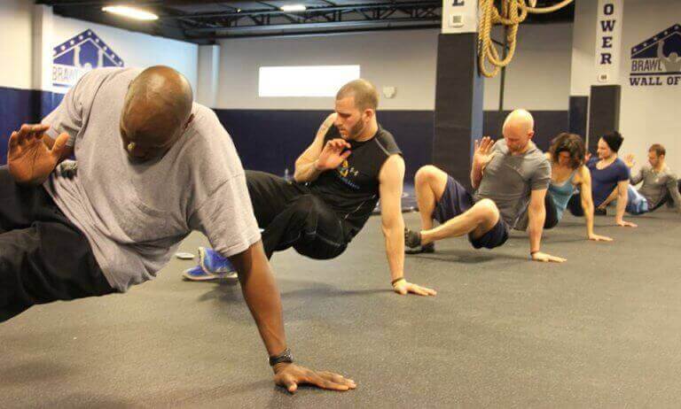 가장 혁신적인 운동, 애니멀 플로우