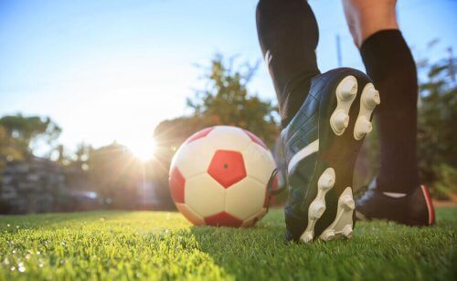 여자 월드컵 축구 대회에 관한 모든 것