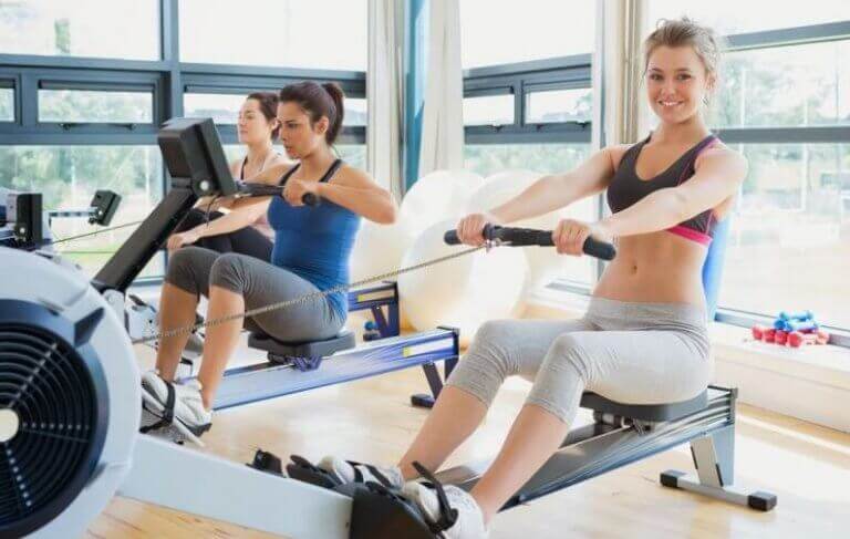 2. 등 근육 단련에 좋은 로잉 머신