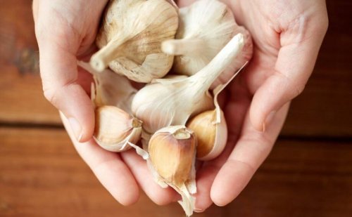 케르세틴 함유 식품