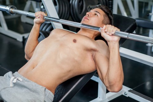 가슴 운동 벤치 프레스