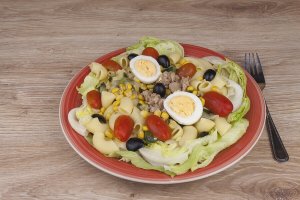 울트라 마라톤 선수의 탄수화물 섭취