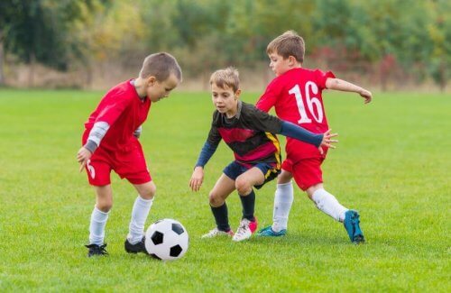 자치주별 학교 체육과 스포츠 프로그램 구성