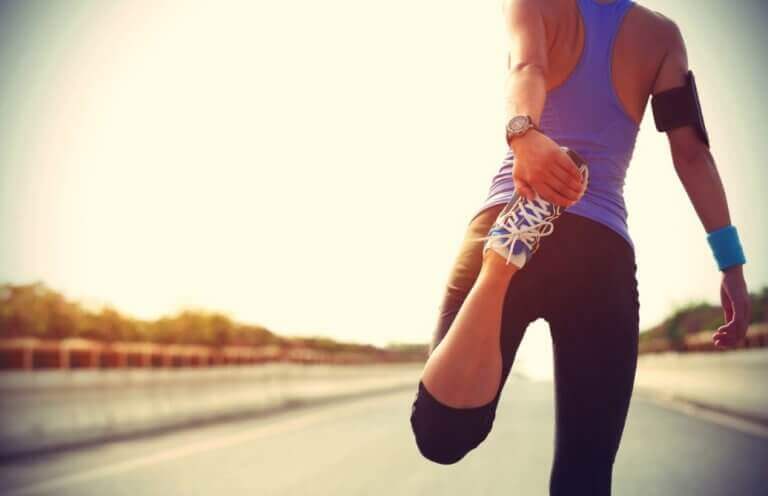 슬개 건염 사두근