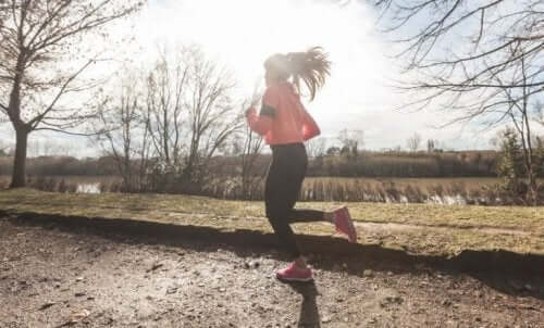 여름 혈액 생성