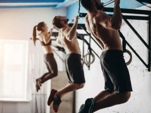 바 또는 바벨(Bars or barbells)