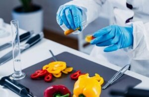 유전자 변형 농수산물의 장단점은 무엇일까?